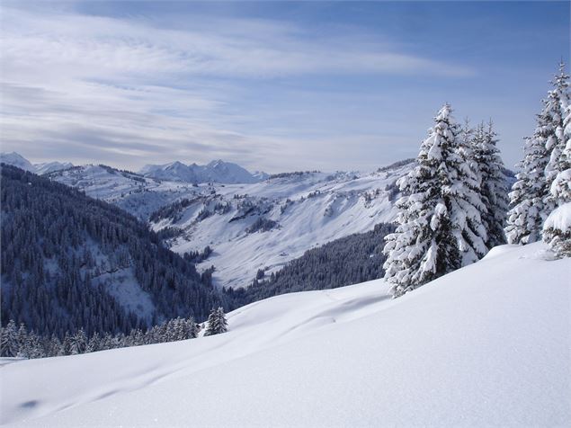Sentier Raquette de Covetan - Office de Tourisme du Val d'Arly