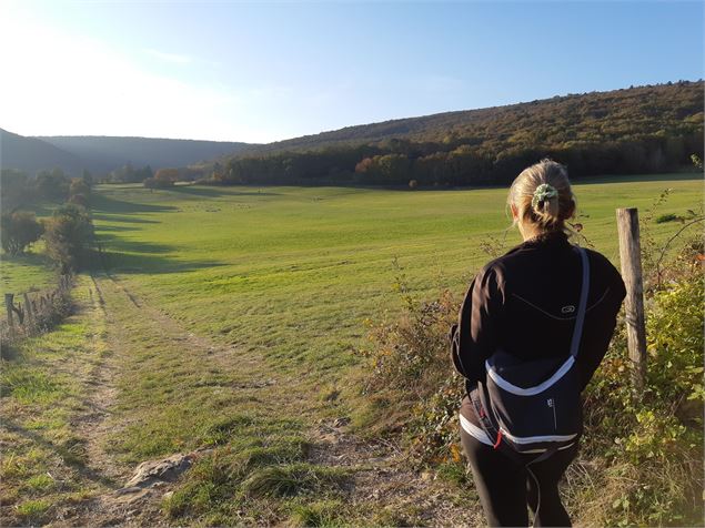 Nivigne sur Suran - scalland