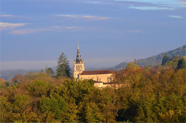Tour de la Forêt de la Motte - Site du Grand Brûle - GBA