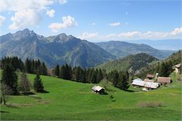 Alpage de Nicodex - Victor Demilly / Vallée d'Aulps Tourisme