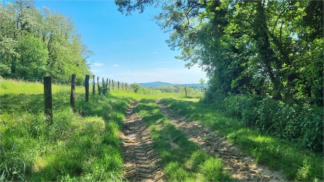 Circuit VTT n°12 (rouge) - Cavets, Villages revermontois - scalland