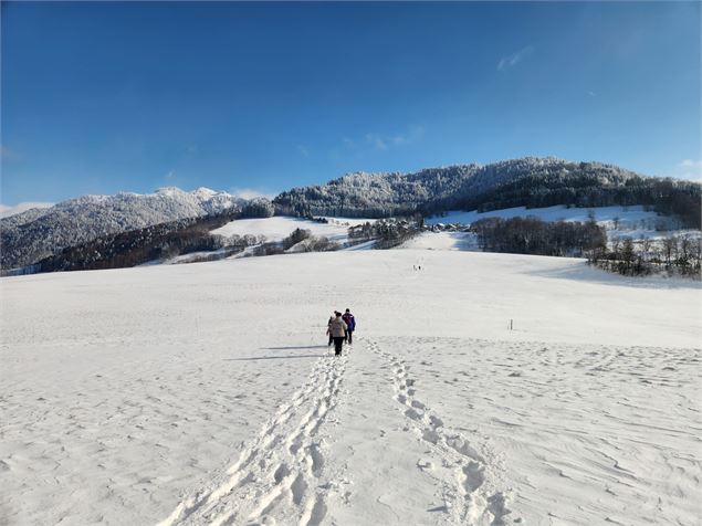 Plateau des Lavouets - bogève - Christelle Becameil