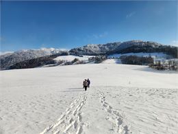 Plateau des Lavouets - bogève - Christelle Becameil