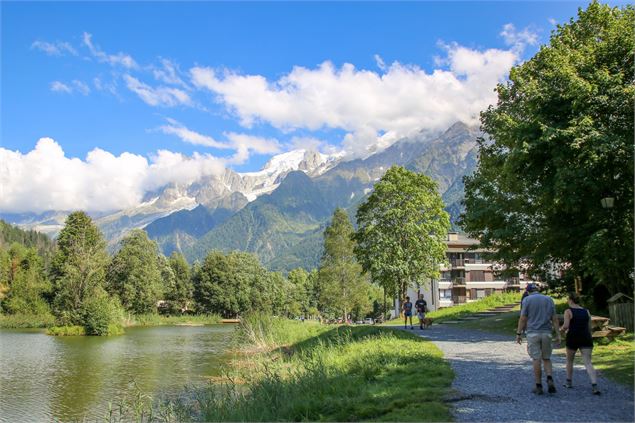 Chavants vue Mont Blanc - Alexandre Juillet