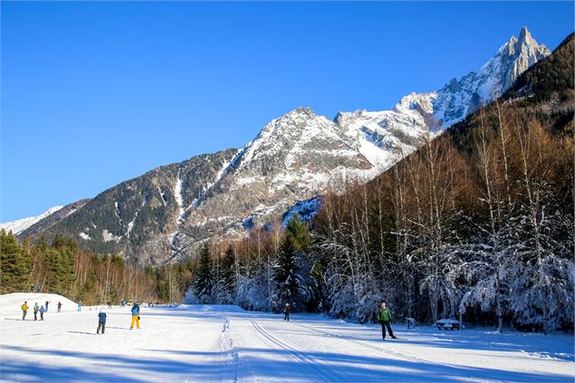 sentier piétons bois bouchet - Alexandre Juiller