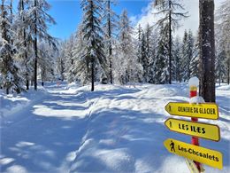 sentier piétons - OT Chamonix