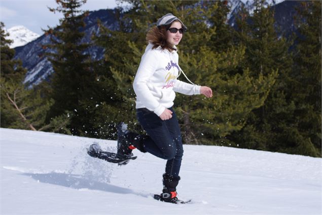 Itinéraire raquettes pour aller voir le fameux monolithe de Sardières - Famille Bussy