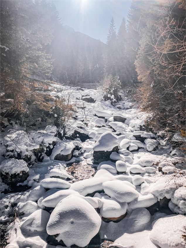 Ruisseau enneigé sur l'itinéraire Les Herbiers - OTHMV - B Thomas