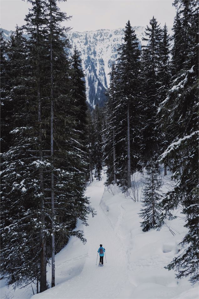 ski de fond - Chillinmaster