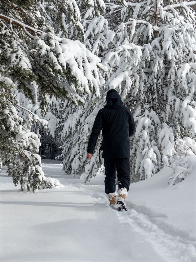 Raquettiste faisant ses traces dans la neige fraiche sous les arbres - OTHMV - R Salles