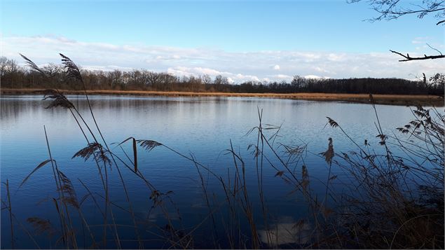 Etang de la Dombes - Sabrina Megani / Plaine de l'Ain Tourisme