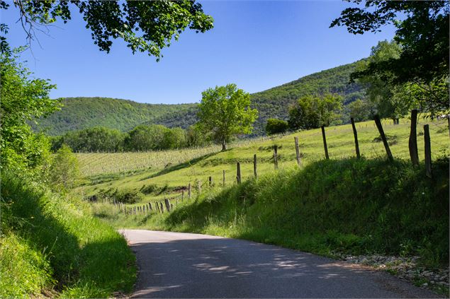 Campagne autour de Lhuis - Marilou Perino / Plaine de l'Ain Tourisme