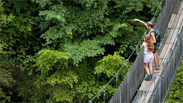 Passerelle - Art Prism