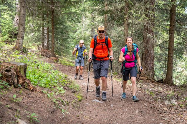 Randonneurs dans la forêt. - Tilby.Vattard