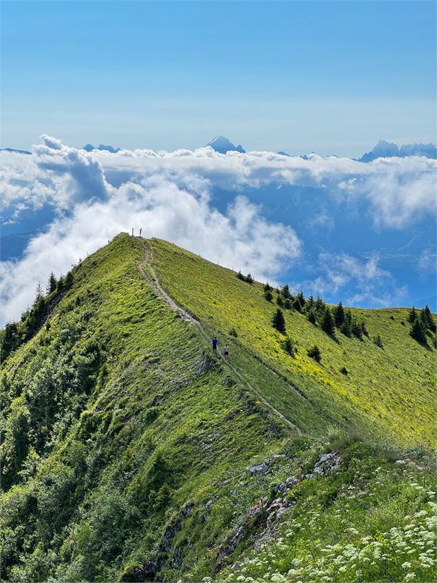 Sommet du môle - 1863 m - Môle & Brasses Tourisme