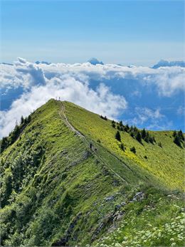 Sommet du môle - 1863 m - Môle & Brasses Tourisme