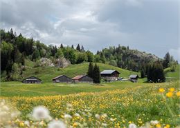 Trace GPX - Fohen Photographie