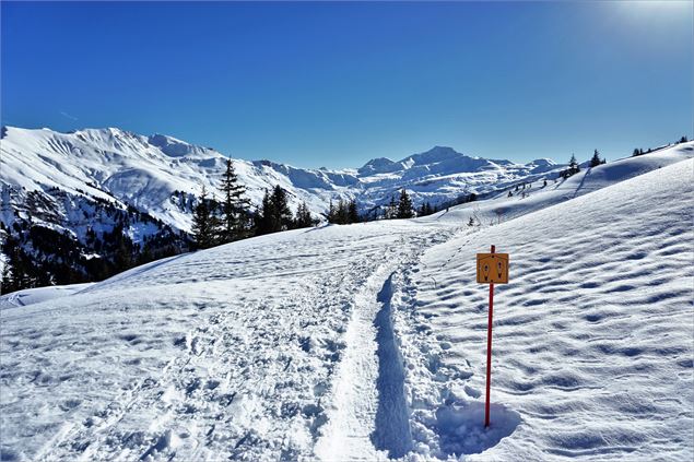 rando raquette - lavelle_Aurélie