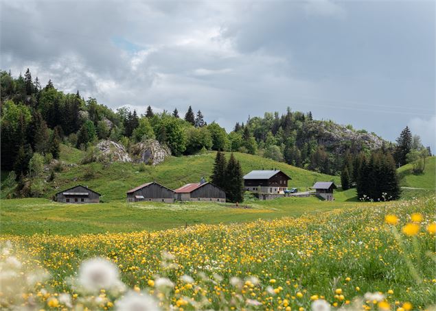 Trace GPX - Fohen Photographie