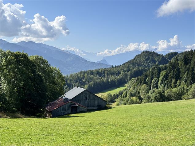 Sentier de randonnée - La Boucle des Fangles_Mégevette - solène vuagnoux