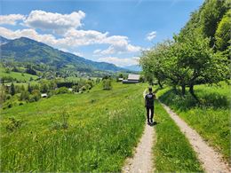 Sentier de randonnée - Le tour des villages d'Onnion et Mégevette_Onnion - Christelle Becameil