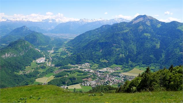 Alpage de la Joux - Christelle Becameil