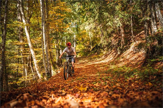 Vtt - Francois Guillermet - Annecy Mountains