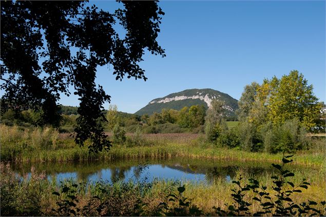 marais Poisy - © L.GUETTE