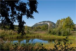 marais Poisy - © L.GUETTE