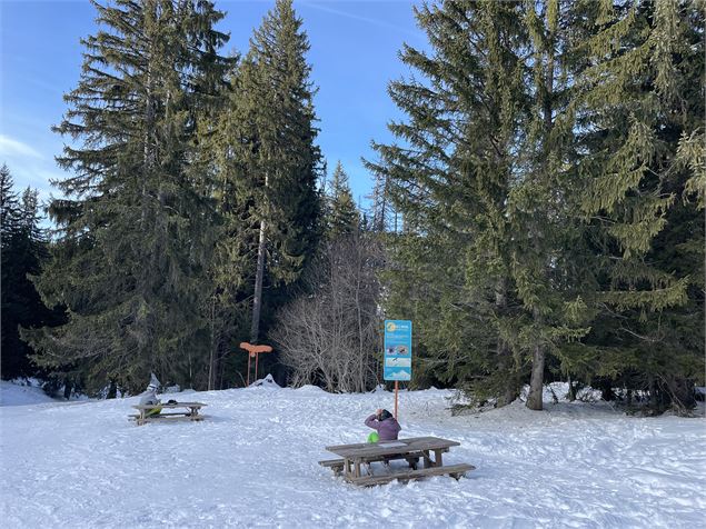 Aire de pique-nique sur Marvel_Morillon - HGT