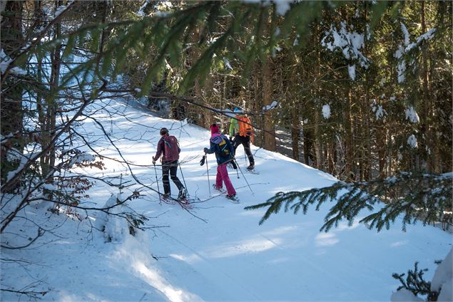 Balade en forêt - Yvan Tisseyre/OT Vallée d'Aulps