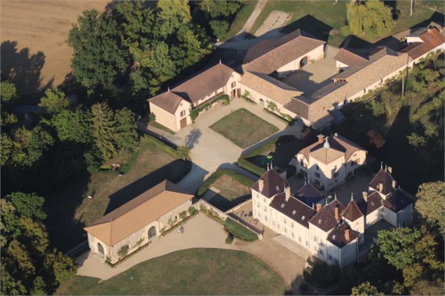 Domaine d'Amareins_Francheleins - Domaine d'Amareins