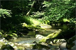 Le Brevon à Bellevaux - OT Alpes du Léman