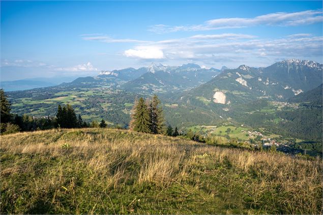 Panorama depuis la montagne des Soeurs, Mémises, Dent d'Ocre, Cornettes de Bise ... - Destination Lé