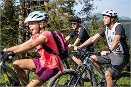 Merle/Danay  - Itinéraire VTT Cross-country N°14