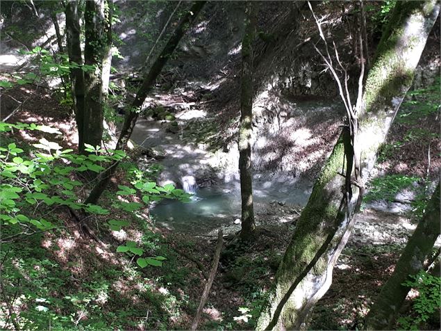 rivière sauvage près de Bénonces - Sabrina Megani / Plaine de l'Ain Tourisme
