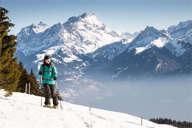 18b. Foilleuse - Savolaire - Morgins - litescapemedia