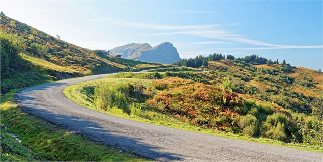 Col de Bassachaux - © Savoie Mont Blanc - Anglade