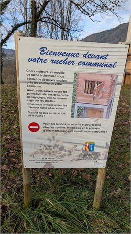 Infos - Rucher Communal