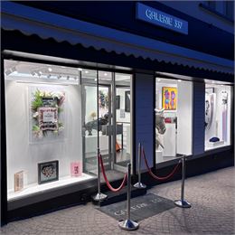 Galerie 337