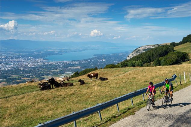Genève depuis les alpages du Salève - © Savoie Mont Blanc - Lansard