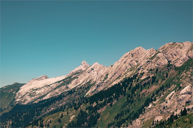 Bois de La Motte_La Clusaz