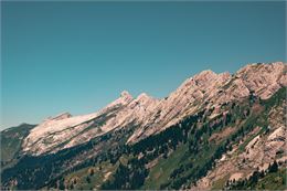 Bois de La Motte_La Clusaz