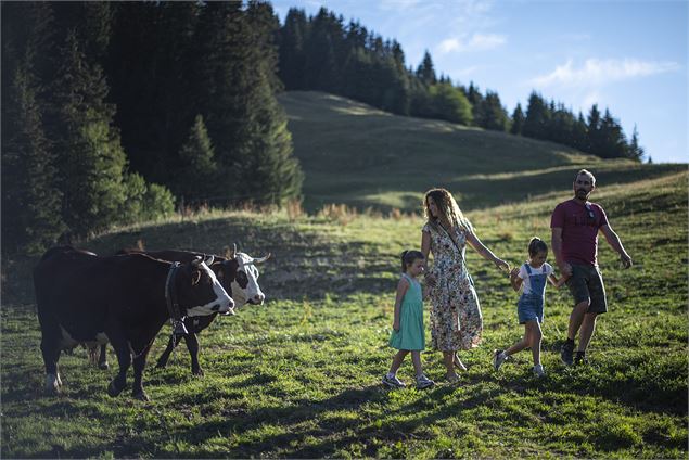 Les Corbassières_La Clusaz - Tilby Vattard