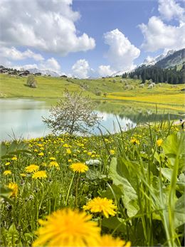 Les Ascets_La Clusaz - Claire Duverne
