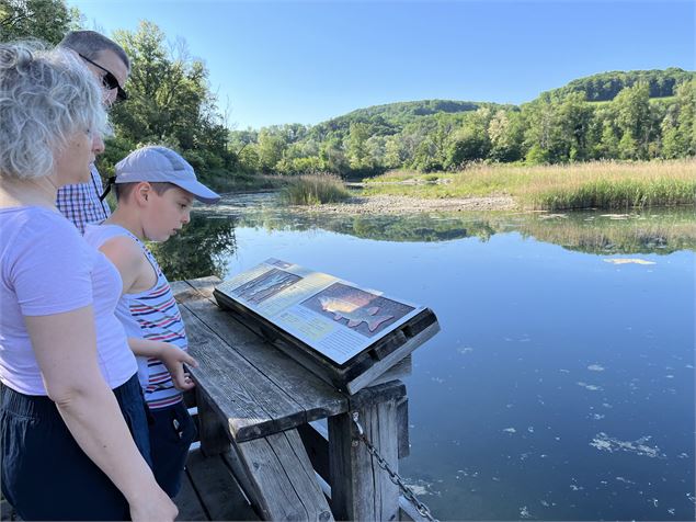 Marais de l'étournel en famille - Duran/Office de Tourisme du Pays de Gex
