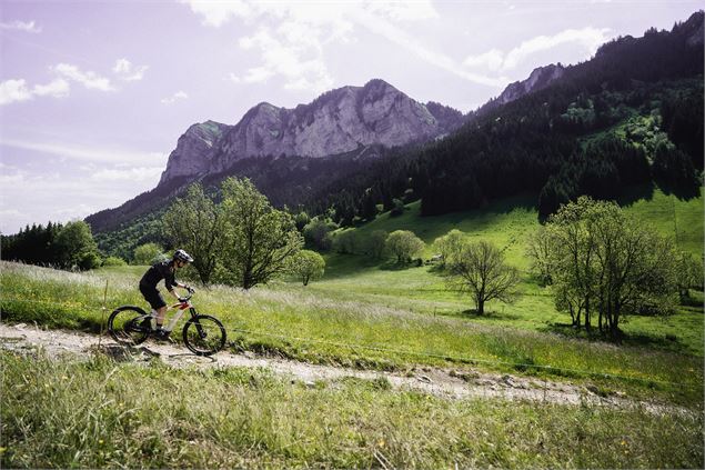 Circuit n°15 Le Mont Bénand - VTT FFC pays d'Evian balcon du Léman - LBM Luc Buffard