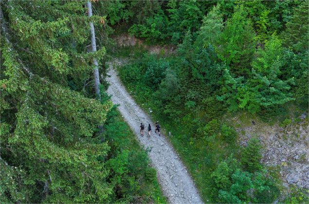 Randonnée pédestre : Boucle verte des écureuils_Faverges-Seythenex - Remi Portier