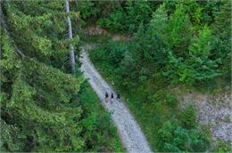 Randonnée pédestre : Boucle verte des écureuils_Faverges-Seythenex - Remi Portier