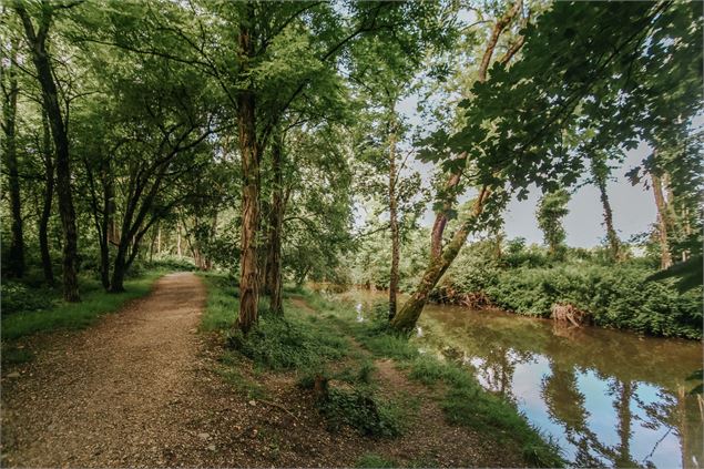 Saint-Julien-en-Genevois_Saint-Julien-en-Genevois - Brice_Souvansanouk